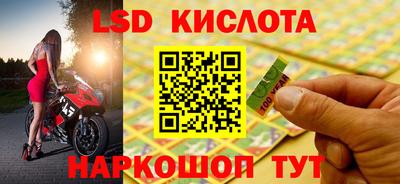прущие грибы Малоярославец