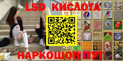 прущие грибы Малоярославец
