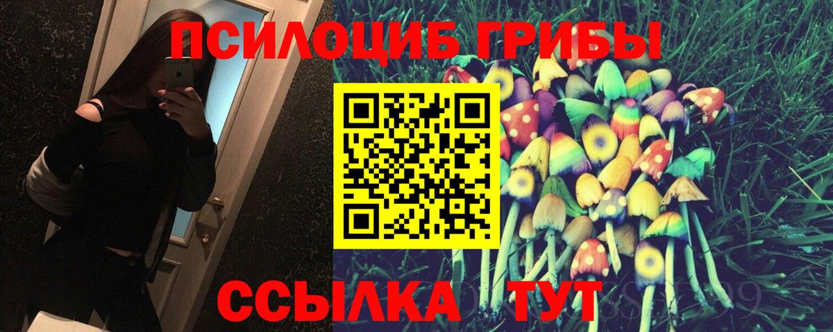 Галлюциногенные грибы GOLDEN TEACHER Дзержинский