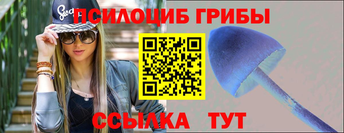 Дзержинский  Псилоцибиновые грибы мицелий  где купить   Вход с VPN 